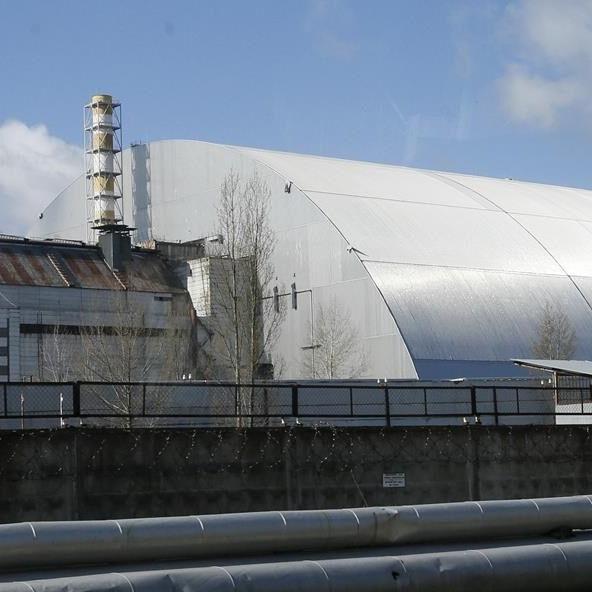 Mushrooms foraged in Sweden could help research Chernobyl fallout